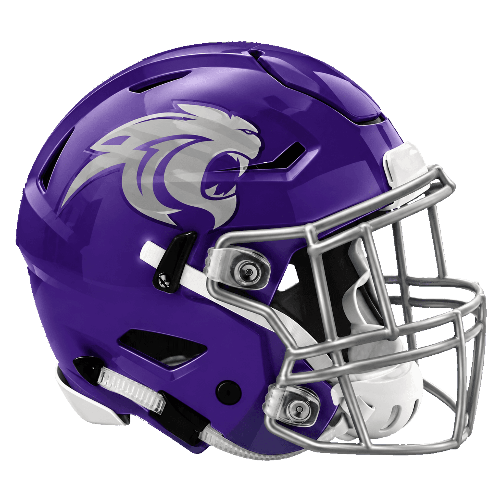 Ridge Point football helmet graphic